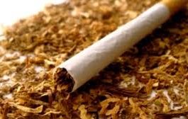 Razie printre vânzătorii de tutun