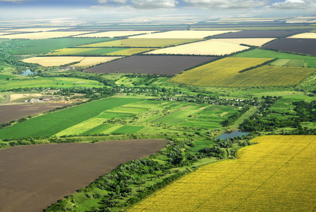teren agricol Actualii fermieri români vor avea monopol pe cumpărarea de terenuri