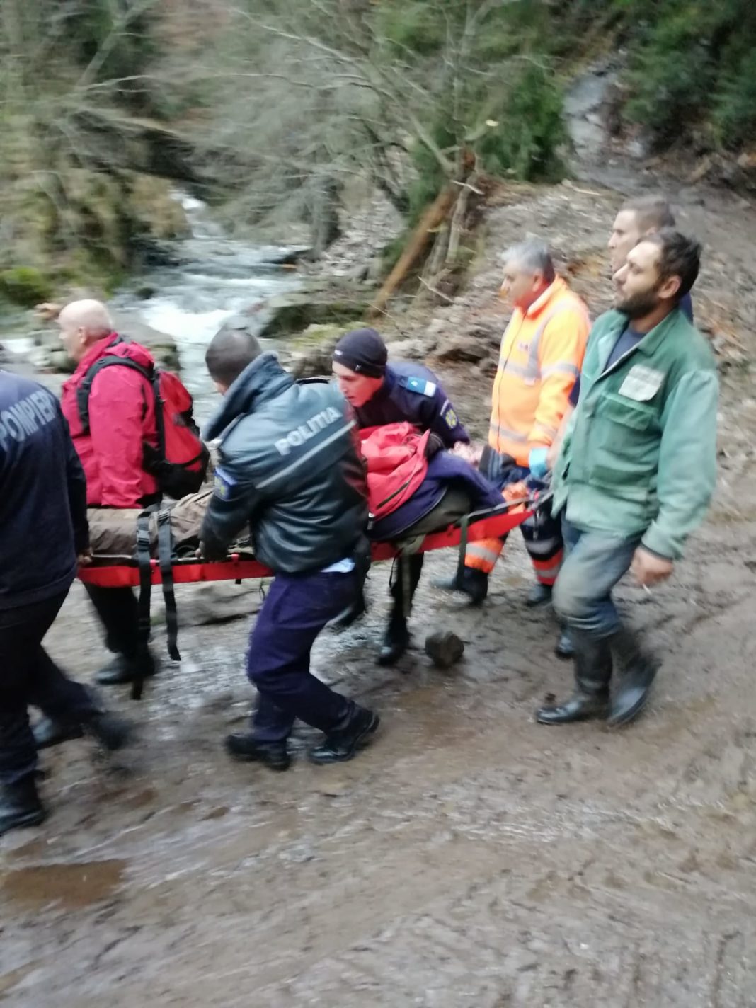 Pădurar, rănit grav după ce a căzut printre stânci