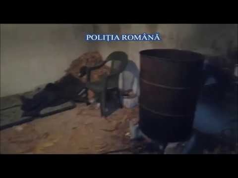Percheziții de amploare la contrabandiștii de tutun