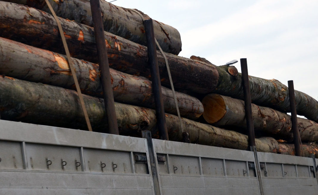 Gorj: Transport de lemne cu tonaj depășit, oprit în Defileul Jiului