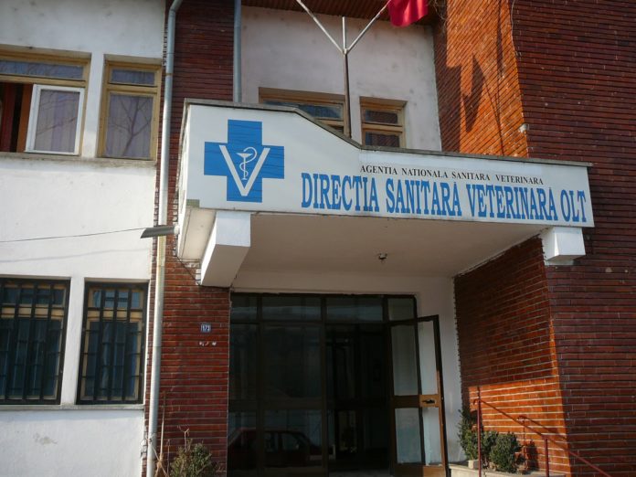 Activitatea unei braserii, suspendată din cauza lipsei igienei