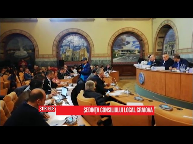 A rezolvat primăria problema gestionării câinilor fără stăpân? A rezolvat primăria problema gestionării câinilor fără stăpân?