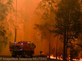 Incendii Australia