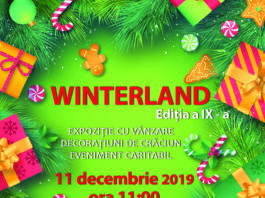 Târgul de Crăciun WINTERLAND, 2019, la Universitatea Craiova