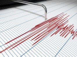 Un nou cutremur s-a produs în urmă cu puțin timp în România. A avut loc în zona seismică Vrancea
