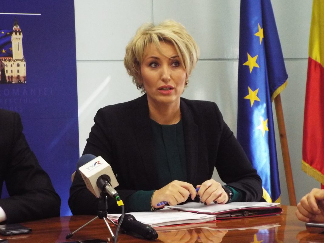 Paula Pîrvănescu, fost secretar de stat, a recunoscut în fața DNA că mințit în declarația de avere