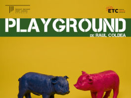 Playground, premieră națională la Teatrul ”Marin Sorescu”