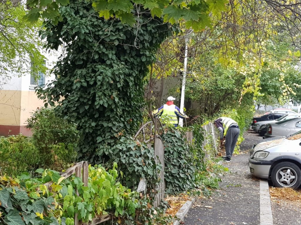 Pentru serviciile publice furnizate de RAADPFL, cum ar fi cele de tăieri de corecţie şi regenerare la arbori sau de degajare a terenului de frunze şi crengi, primăria a plătit circa 19 milioane de lei