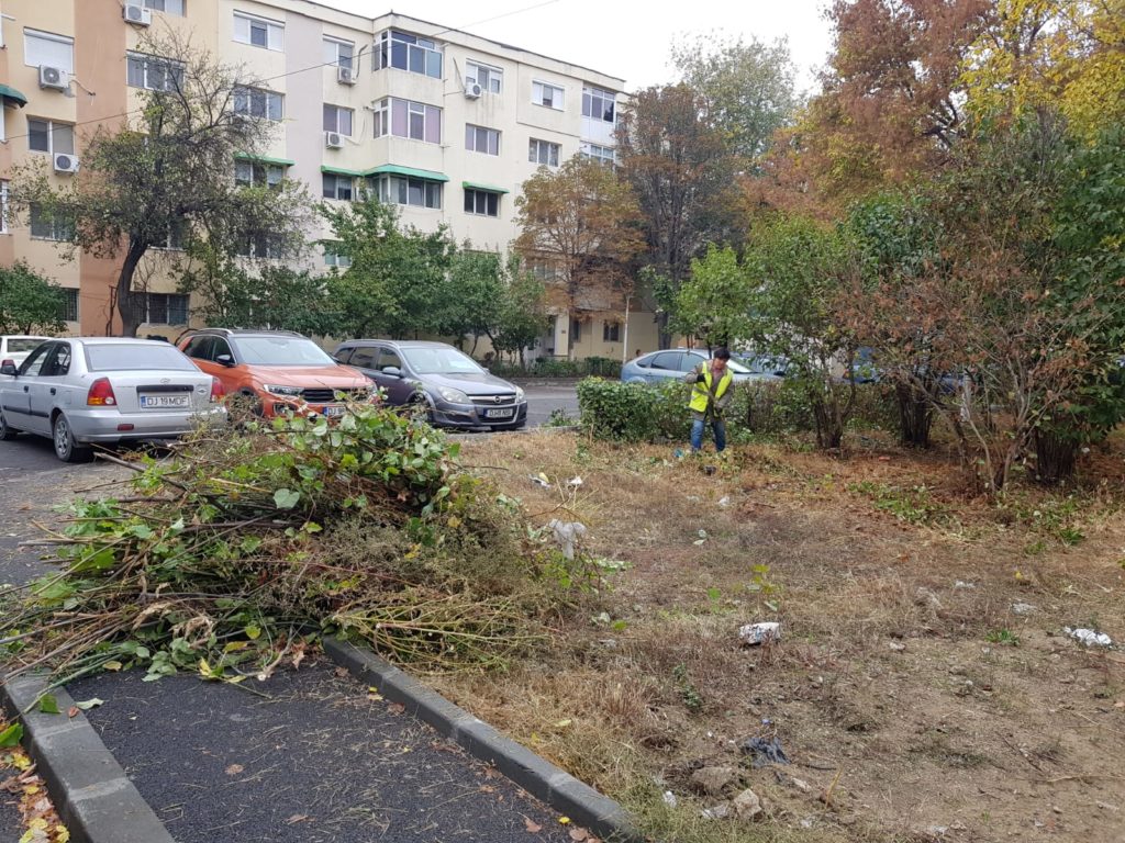 Pentru serviciile furnizate de RAADPFL, cum ar fi cele de tăieri de corecţie şi regenerare la arbori sau de degajare a terenului de frunze şi crengi, primăria a plătit circa 19 milioane de lei