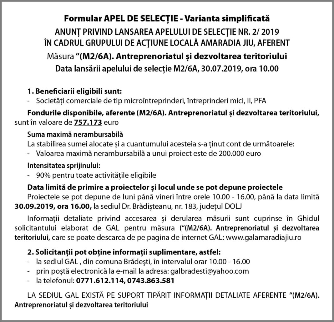Formular APEL DE SELECȚIE - Varianta simplificată