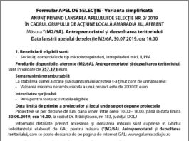 Formular APEL DE SELECȚIE - Varianta simplificată
