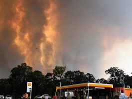 Incendii devastatoare în apropierea orașului Sydney