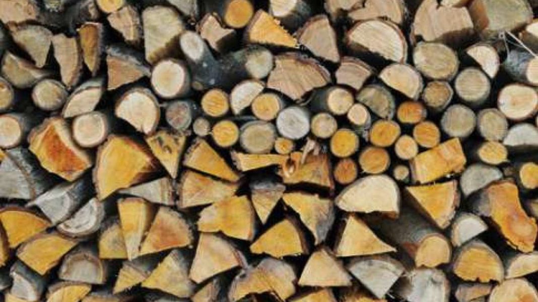Transport ilegal de lemne, depistat pe un drum forestier de la Stănești
