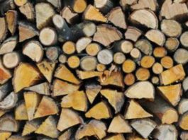 Transport ilegal de lemne, depistat pe un drum forestier de la Stănești