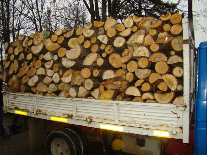 Transport ilegal de lemne, depistat pe DN 67 D, la Tismana Transport ilegal de lemne, depistat pe DN 67 D, la Tismana