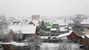 Ninge cu fulgi cât bobul de mazăre la Sibiu Ninge cu fulgi cât bobul de mazăre la Sibiu