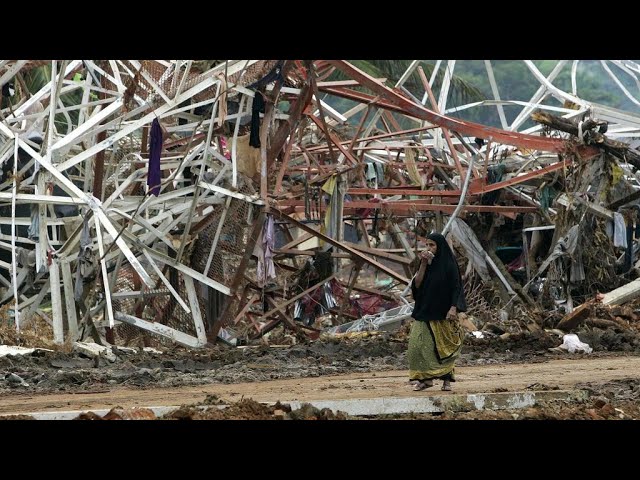 Asian quake and tsunami disaster