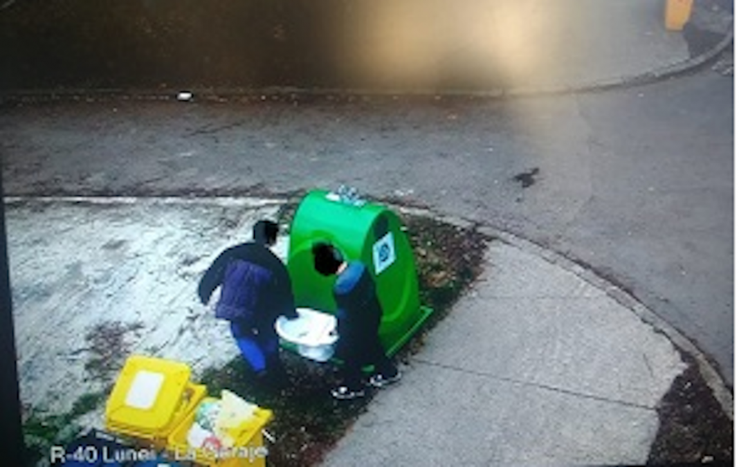 3.000 de lei amendă pentru un timișorean care a aruncat pe stradă un vas de WC