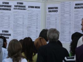 În funcţie de rezidenţă, din totalul persoanelor încadrate în muncă, 63 provin din mediul urban, iar 74 persoane sunt din mediul rural.