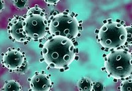 Alertă pentru o posibilă infectare cu virusul mortal din China în România