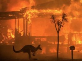Noi alerte de incendii în sud-estul Australiei