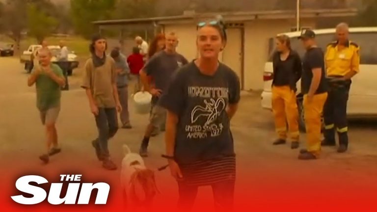 Focul a mistuit cinci milioane de hectare de vegetație