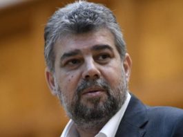 Ciolacu: PSD merge singur la aceste alegeri parlamentare