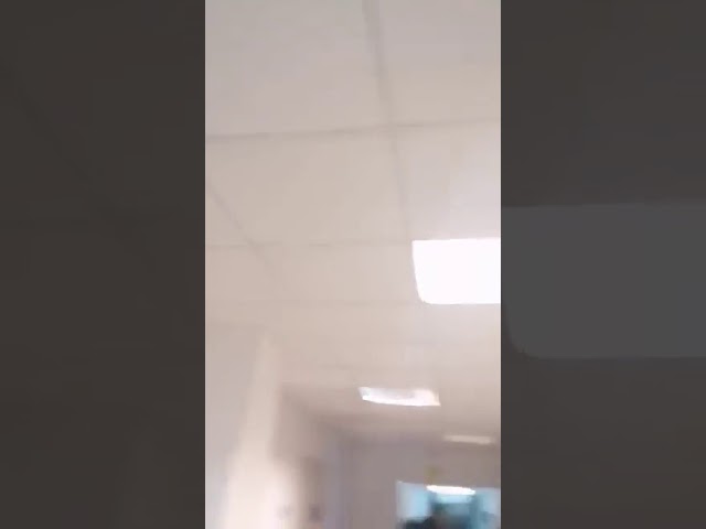 Pisici căzute din tavan peste pacienţi, într-un spital din România