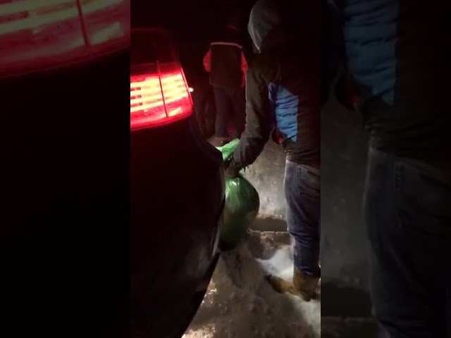 Scene terifiante în Suceava: Câini împuşcaţi şi abandonaţi pe drum