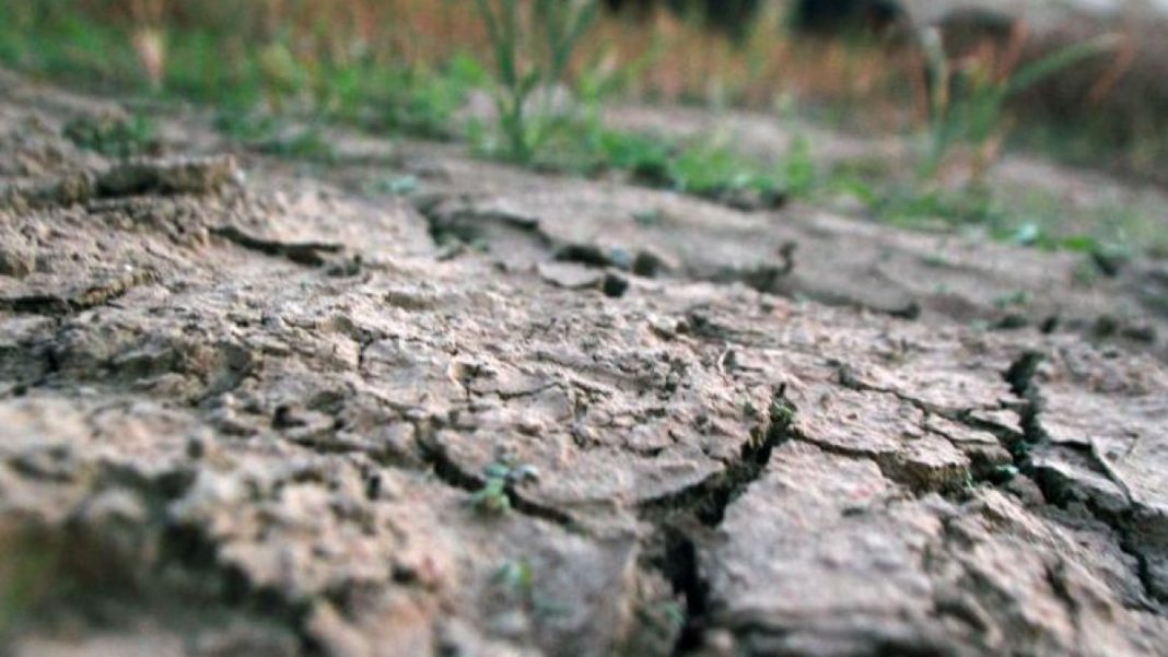 Agricultura din Oltenia este în pericol