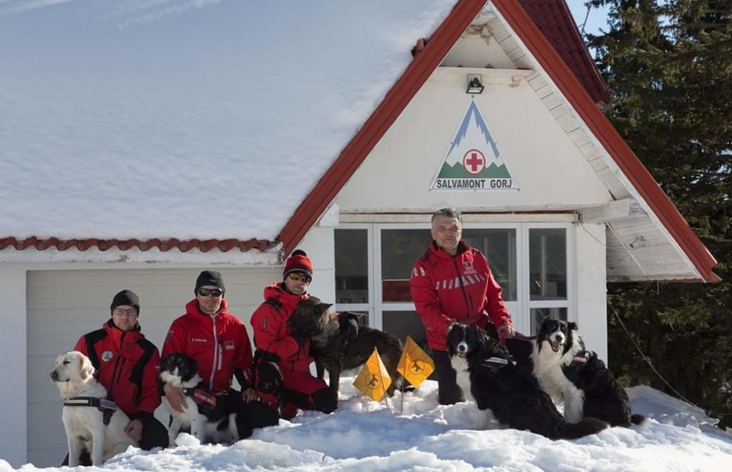 Câinii pentru salvare montană, evaluați la Rânca Câinii pentru salvare montană, evaluați la Rânca