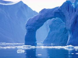 În Antarctica s-au înregistrat cele mai mari temperaturi din istoria meteorologiei