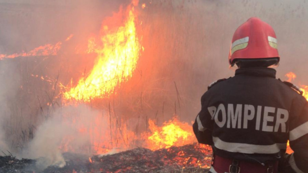 110 hectare de vegetație uscată, mistuite de foc