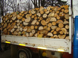 Zeci de metri cubi de lemn, confiscat de la transportatori
