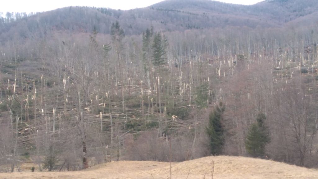 Fenomene meteo extreme, așteptate în următoarele zile