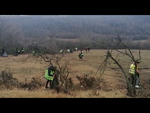 Ecologizare la Podari cu voluntari din cinci ţări
