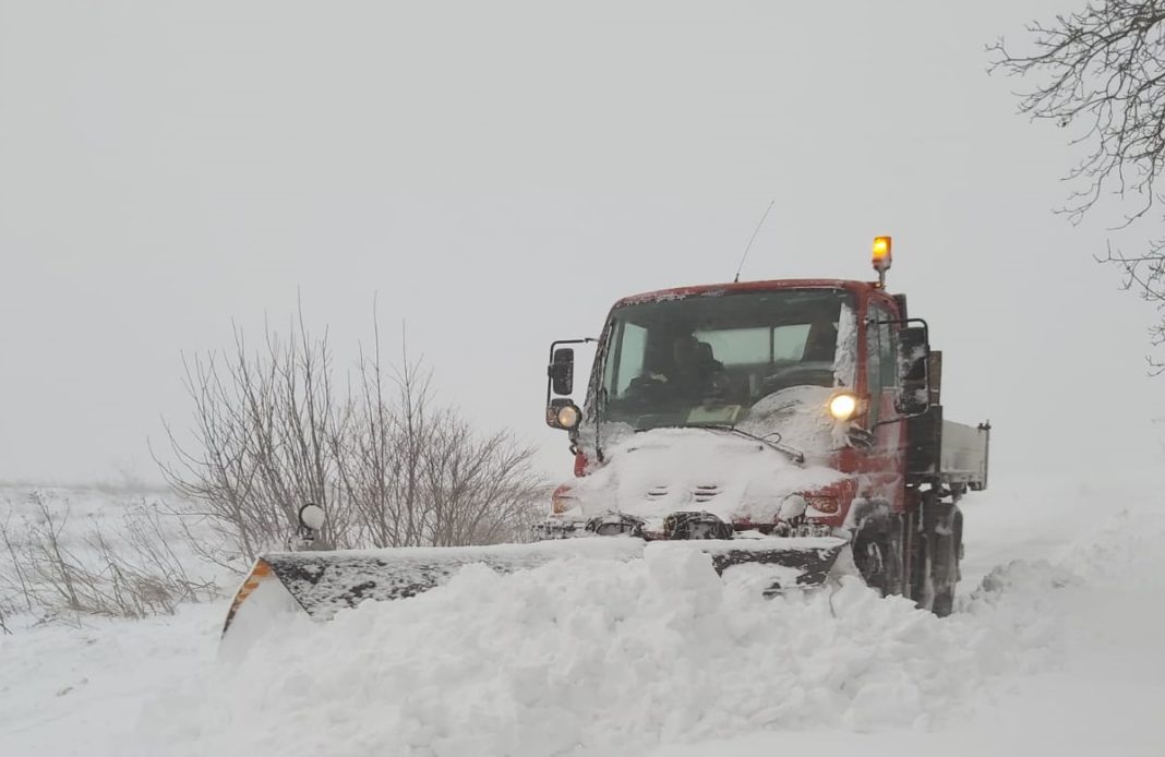 Gravidă preluată cu şenilata, în judeţul Constanţa Gravidă preluată cu şenilata, în judeţul Constanţa