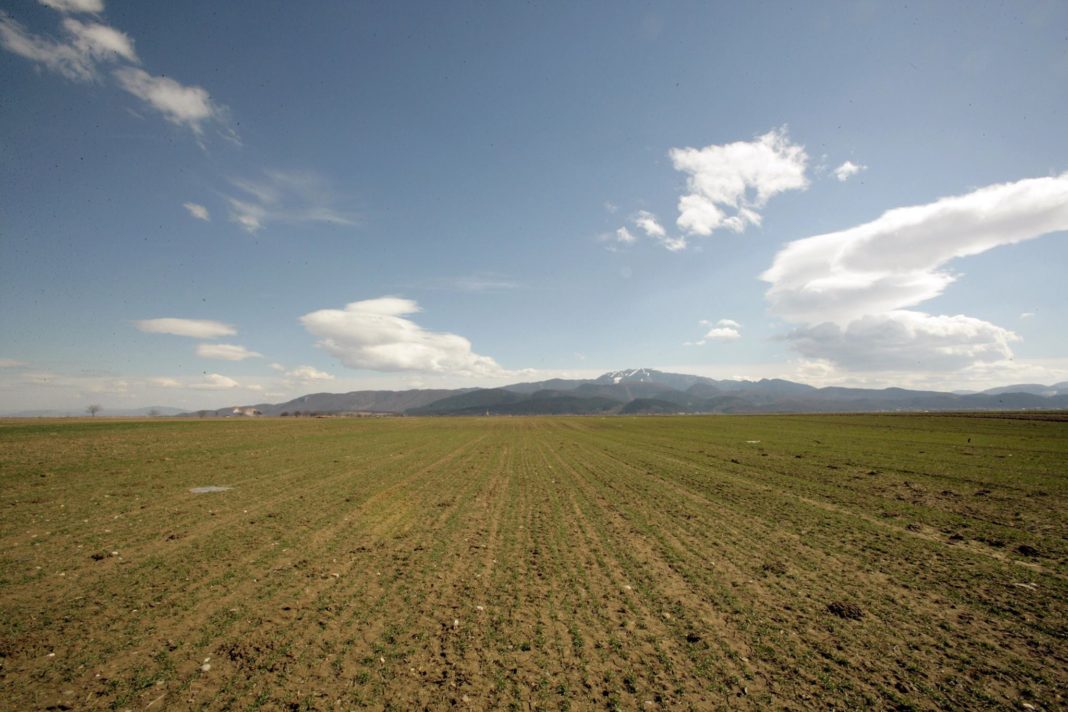 Documentele privind schemele de sprijin cuplat în sector vegetal 2019 se vor depune la sediul APIA