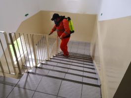 Dezinsecție la scările de bloc din Craiova