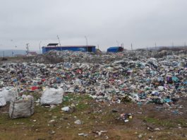 Anchetă după o poluare masivă cu deșeuri între Albeni și Cărbunești