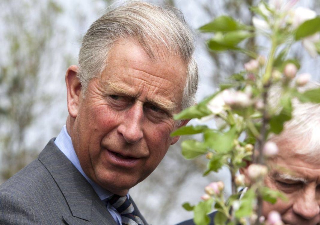 Prinţul Charles îi îndeamnă pe cei disponibilizaţi să culeagă fructele şi legumele britanice în acest an