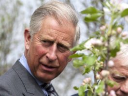 Prinţul Charles îi îndeamnă pe cei disponibilizaţi să culeagă fructele şi legumele britanice în acest an