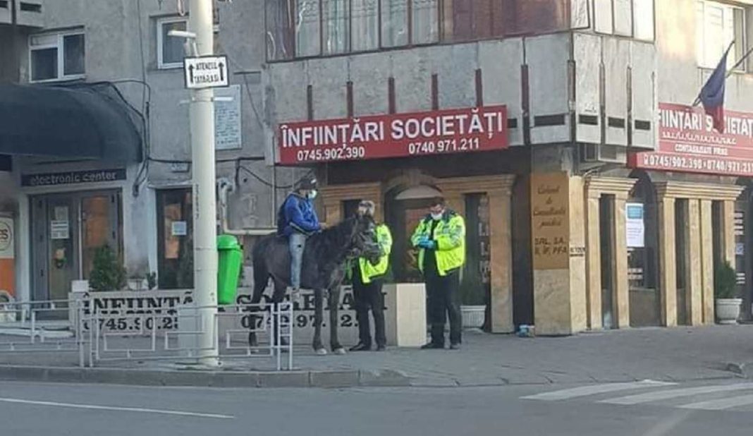 img (3) Iași: Un tânăr călare pe un cal, în drum spre maternitate, a primit avertisment de la Poliție sursa Observator tv