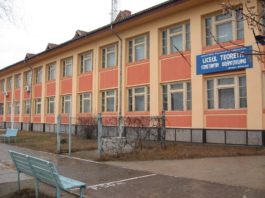 Demitere urmată de anchete penale şi disciplinare la Liceul din Dăbuleni