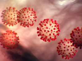 Guvernele lumii lansează peste 6.000 miliarde de euro în lupta contra coronavirusului