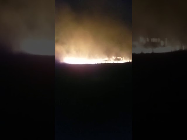 Dolj: 30 de hectare de vegetaţie au ars la Coţofenii din Faţă