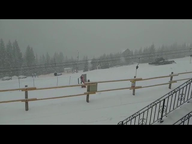 Ninge din nou la Rânca