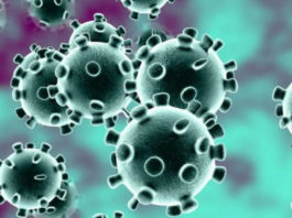 Care sunt cele mai periculoase virusuri din lume