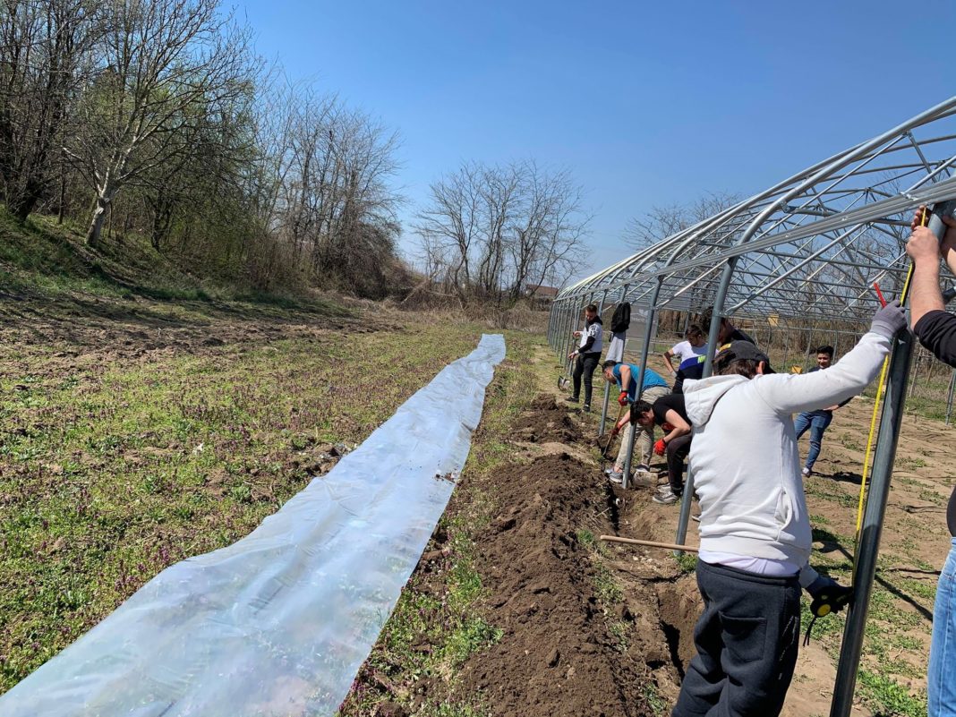 Sere GRENA-CRAF la Universitatea din Craiova